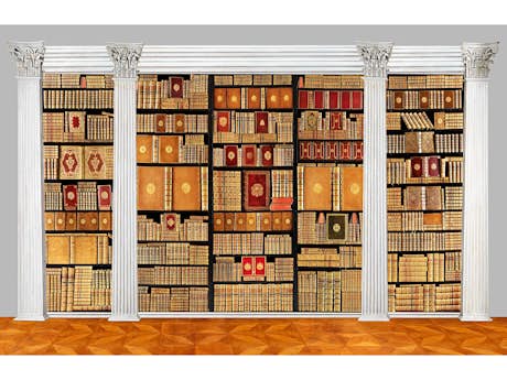 Eine sehr dekorative französische Bibliothek mit 810 Bänden des 18. Jahrhunderts